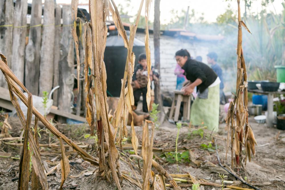 People in Guatemala work for better agriculture systems