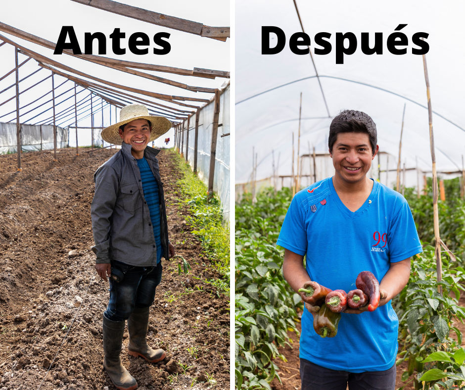 Hace cinco años, Raúl y Lilian fueron capacitados y recibieron fondos semilla a través de los programas SEGAMIL y Nuestra Cosecha de CRS para iniciar una agroindustria.