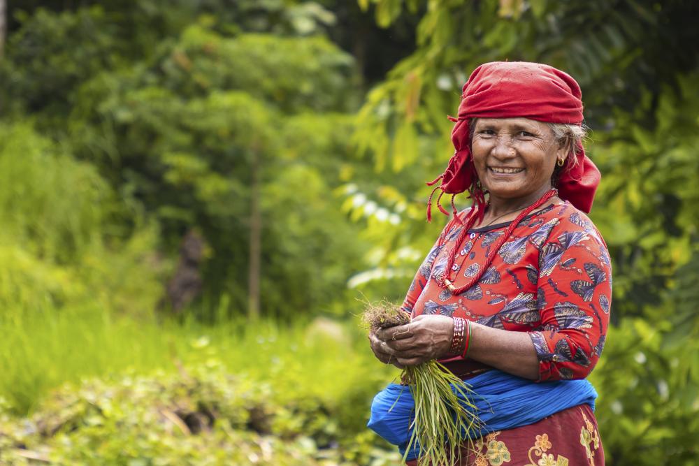 Women in field in Nepal