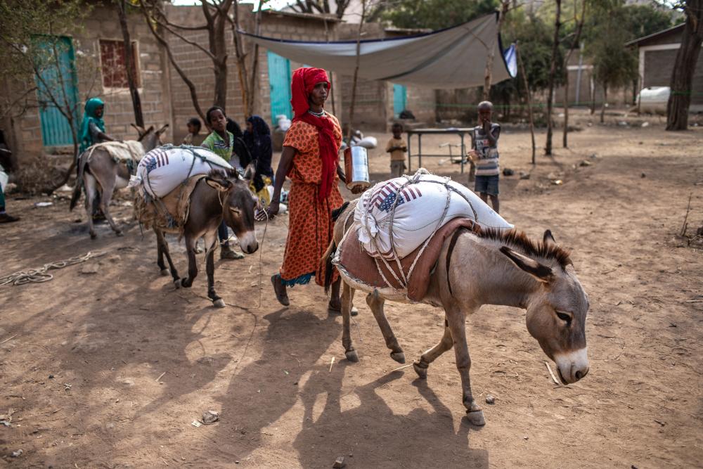 Woman from Ethiopia leads donkeys carry food