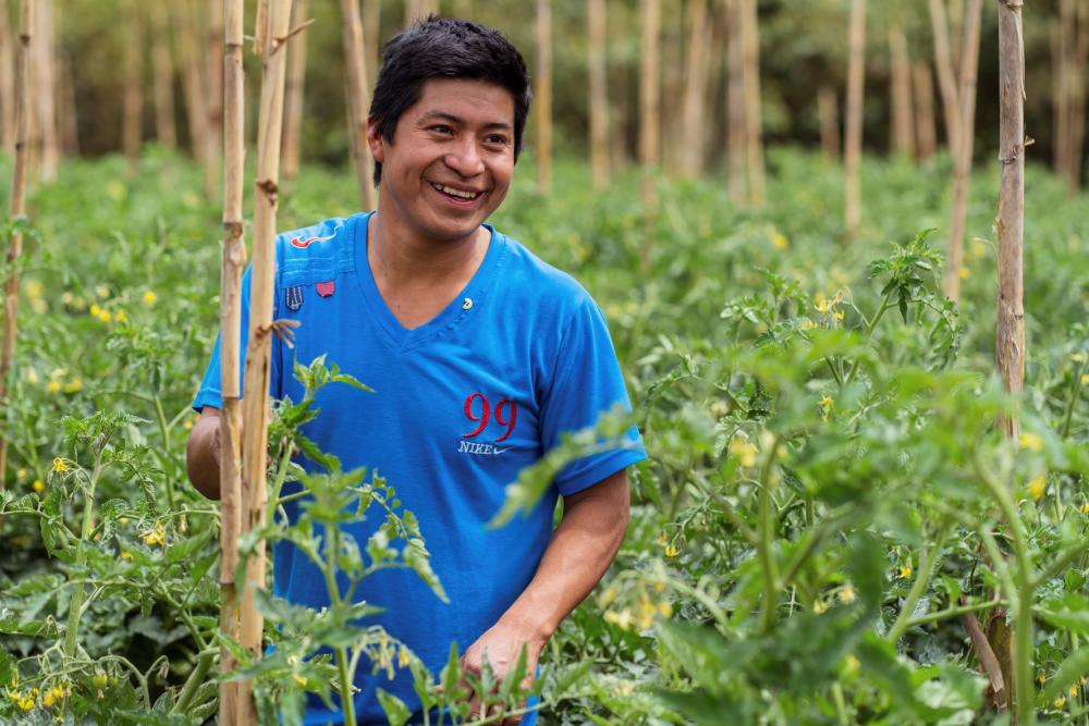 Guatemalan farmer smiles and poses amid his crops