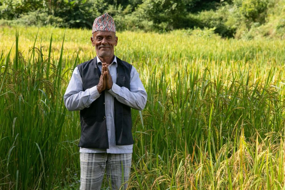 Man standing in rice field