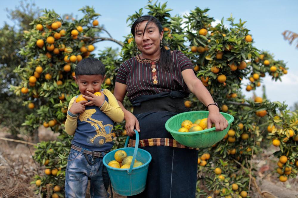 Mujer y su hijo en un campo de árboles de naranja