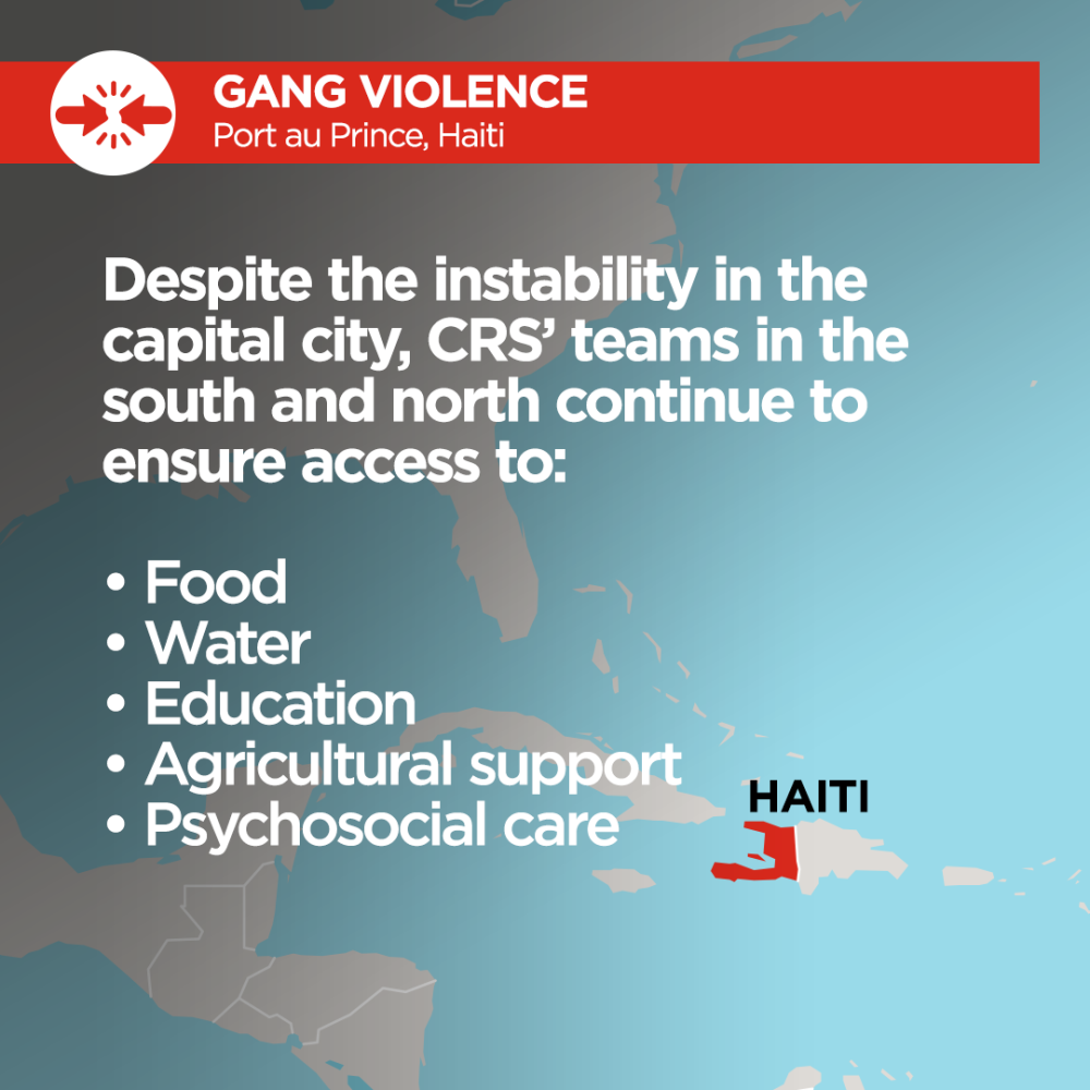 Graphic of Haiti Relief