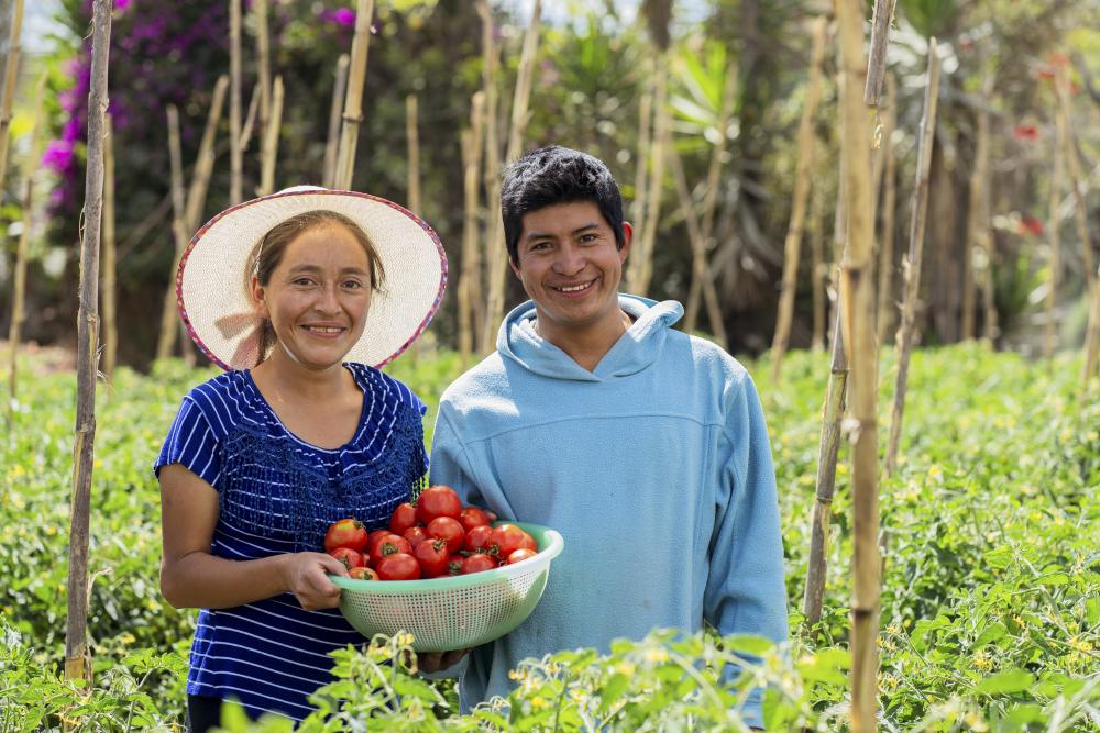 Husband and wife holding tomatoes in field