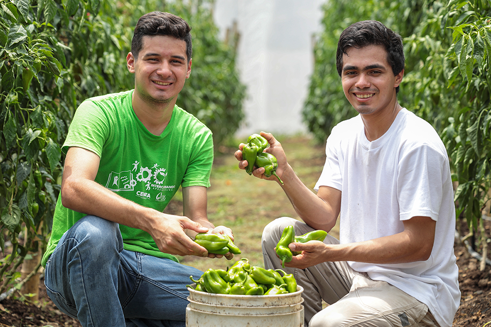 Dos jóvenes agricultores muestran con orgullo su cosecha de chiles