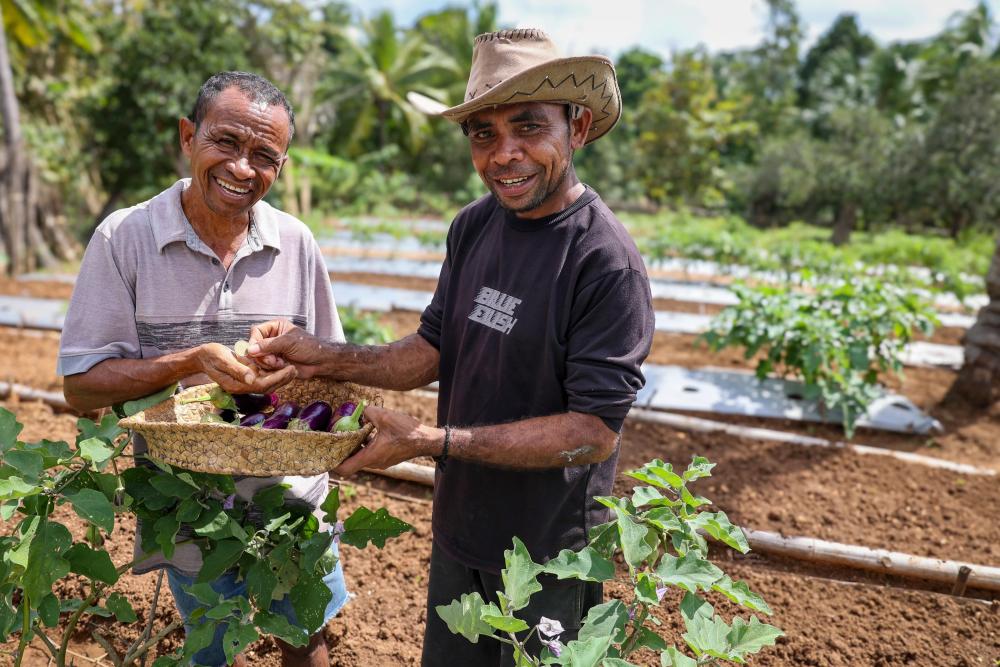 Two farmers smiling in a field