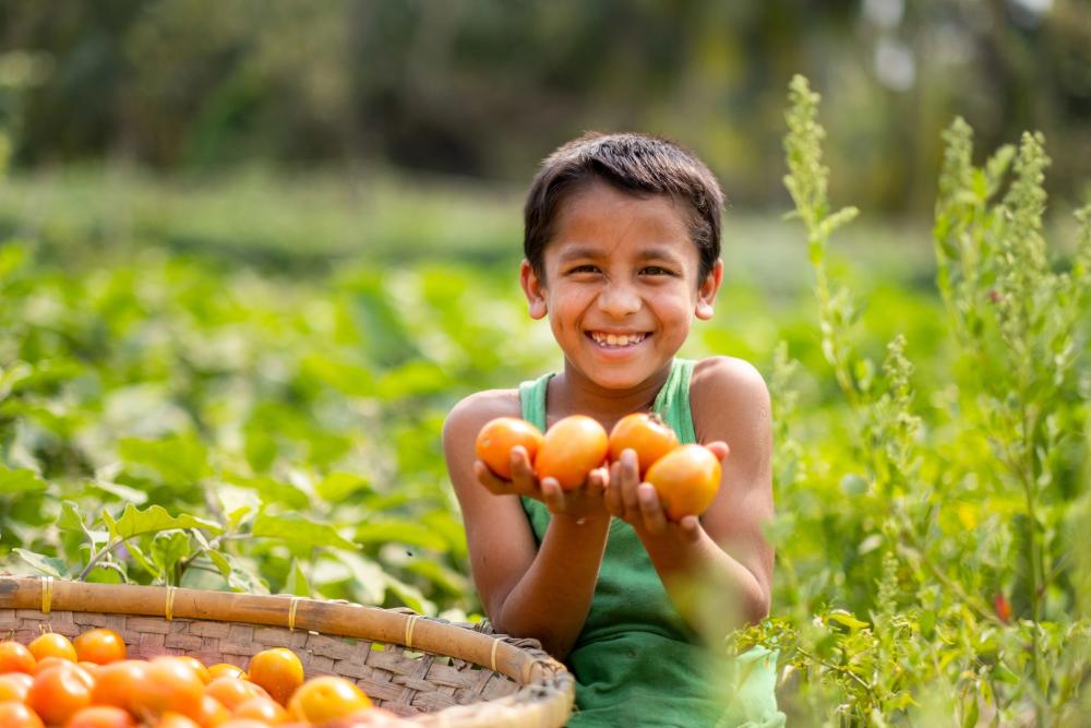 Boy showing a bunch of tomatoes
